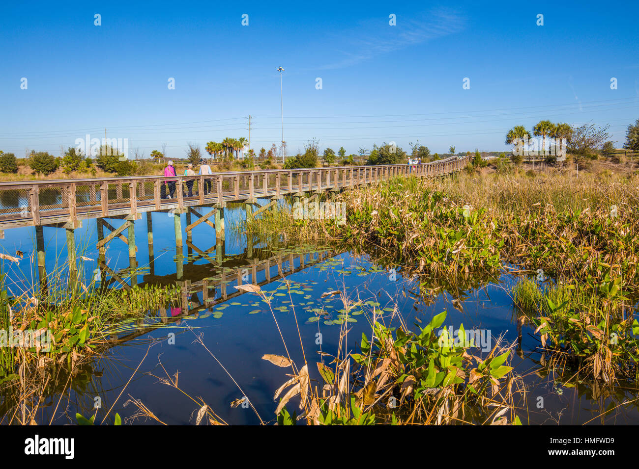 Boardwalk in the Celery Fields recreation and nature area in Sarasota Couny in Sarasota Florida Stock Photo