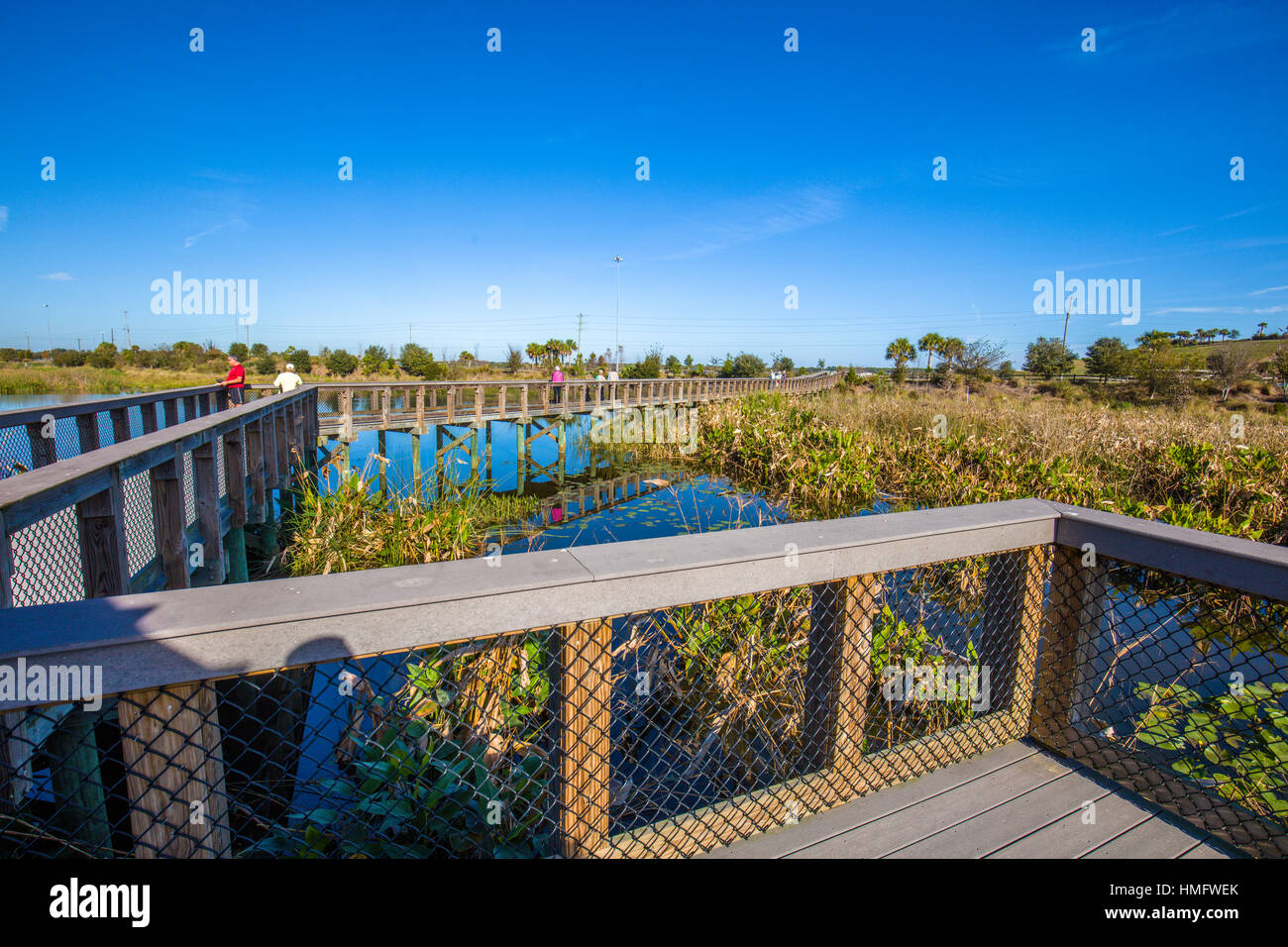 Wetland birding High Resolution Stock Photography and Images Alamy