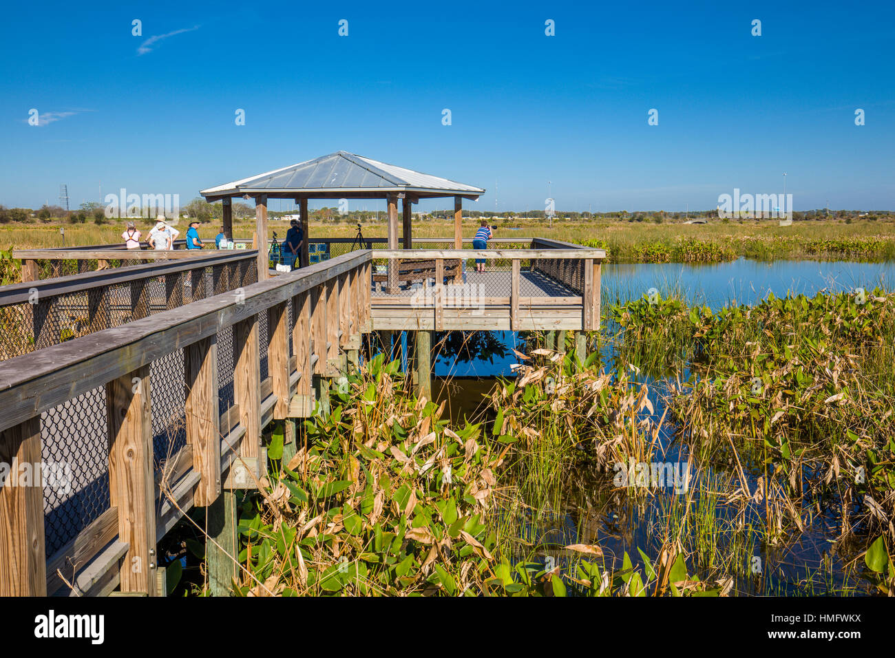 Boardwalk in the Celery Fields recreation and nature area in Sarasota Couny in Sarasota Florida Stock Photo