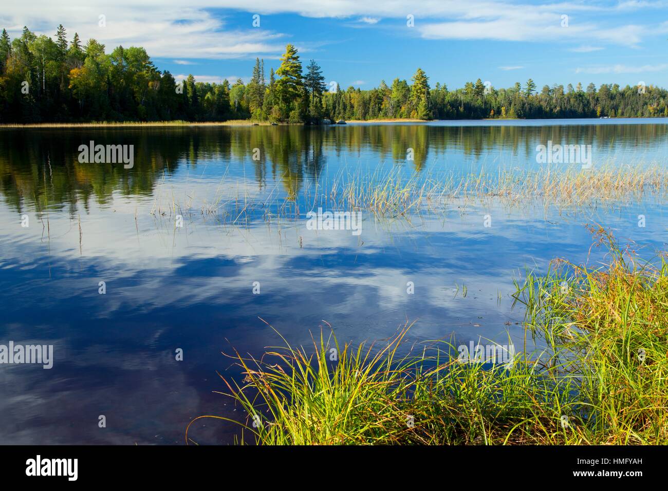 South Kawishiwi River Superior National Forest Minnesota Stock