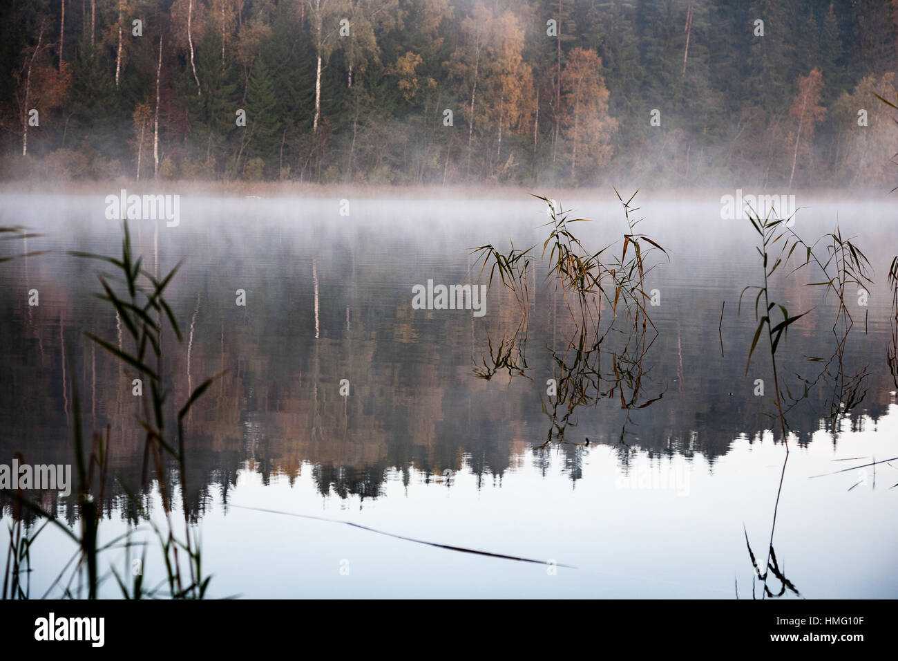 misty countryside landscape with lake in latvia in autumn. cold morning ...