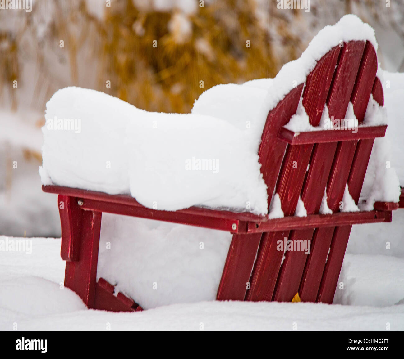 Winter, Adirondack Chairs covered with fresh snowfall. Loggers Creek, Boise, Idaho, USA Stock Photo