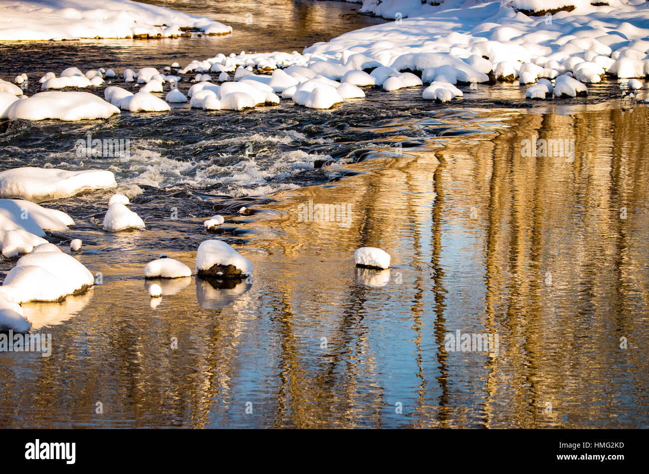 Winter, Reflections of snow and  cottonwood trees in winter. Boise River, Boise, Idaho, USA Stock Photo