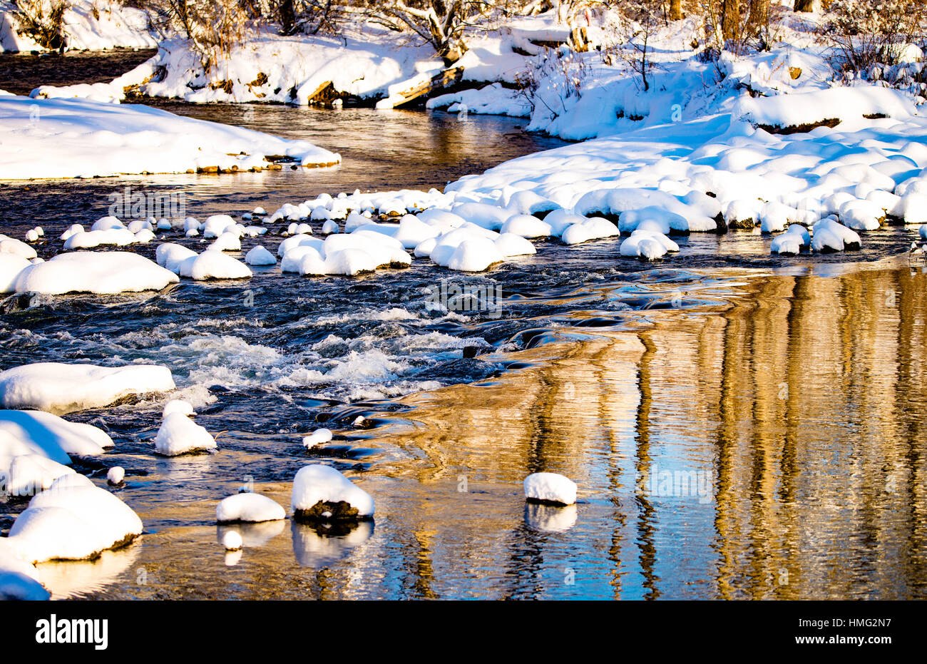Winter, Reflections of snow and  cottonwood trees in winter. Boise River, Boise, Idaho, USA Stock Photo