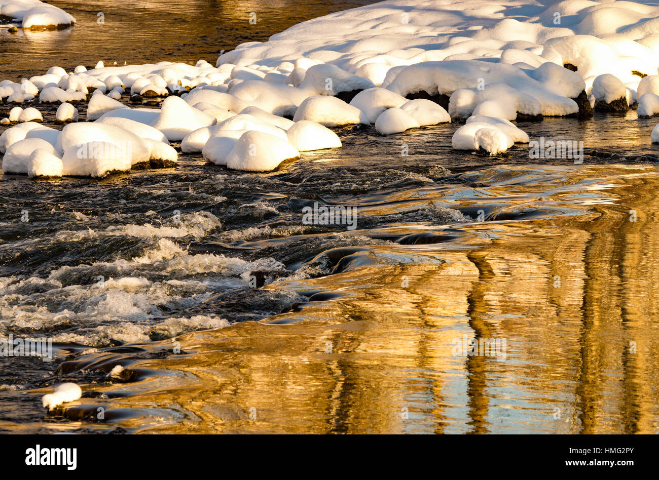 Winter,Reflections of snow and  cottonwood trees in winter. Boise River, Boise, Idaho, USA Stock Photo
