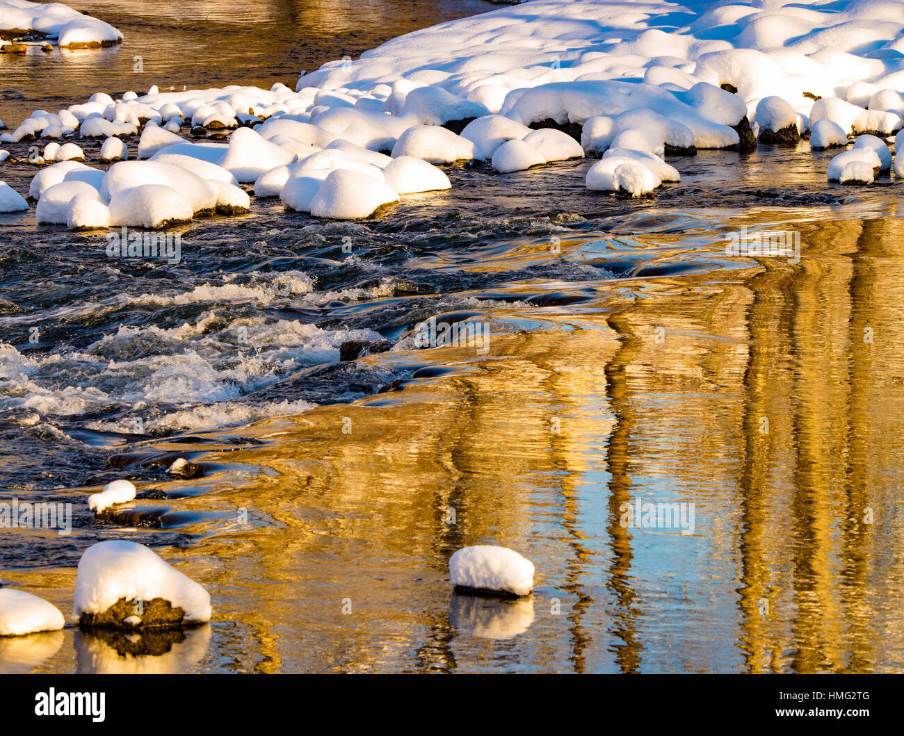 Winter, Reflections of snow and cottonwood trees in winter. Boise River, Boise, Idaho, USA Stock Photo