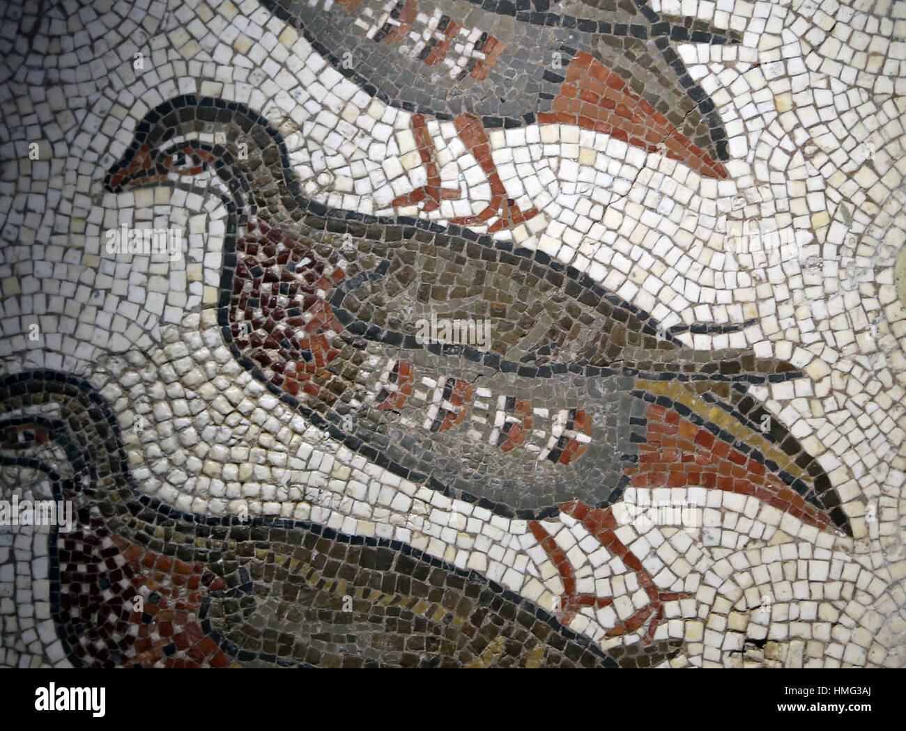 Mosaic with partridges. Roman. Limestone and marble. 4th century. Quintana del Marco, Leon. Spain. National Archaeological Museum, Madrid. Spain. Stock Photo