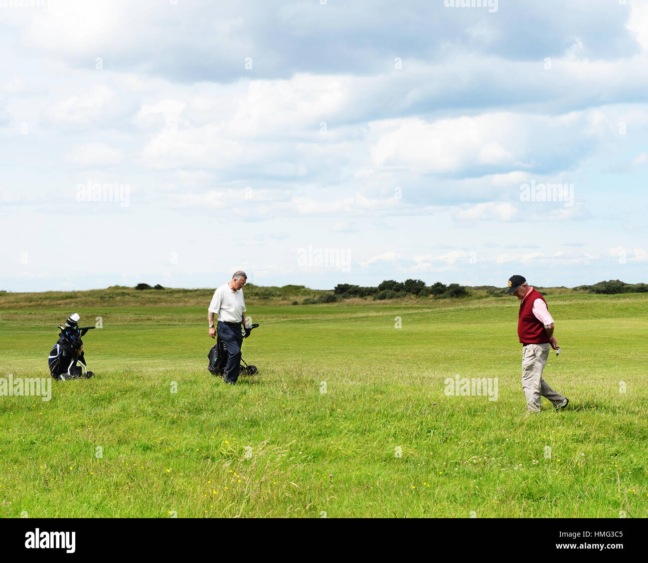 Golfers search for a lost golf ball Stock Photo Alamy