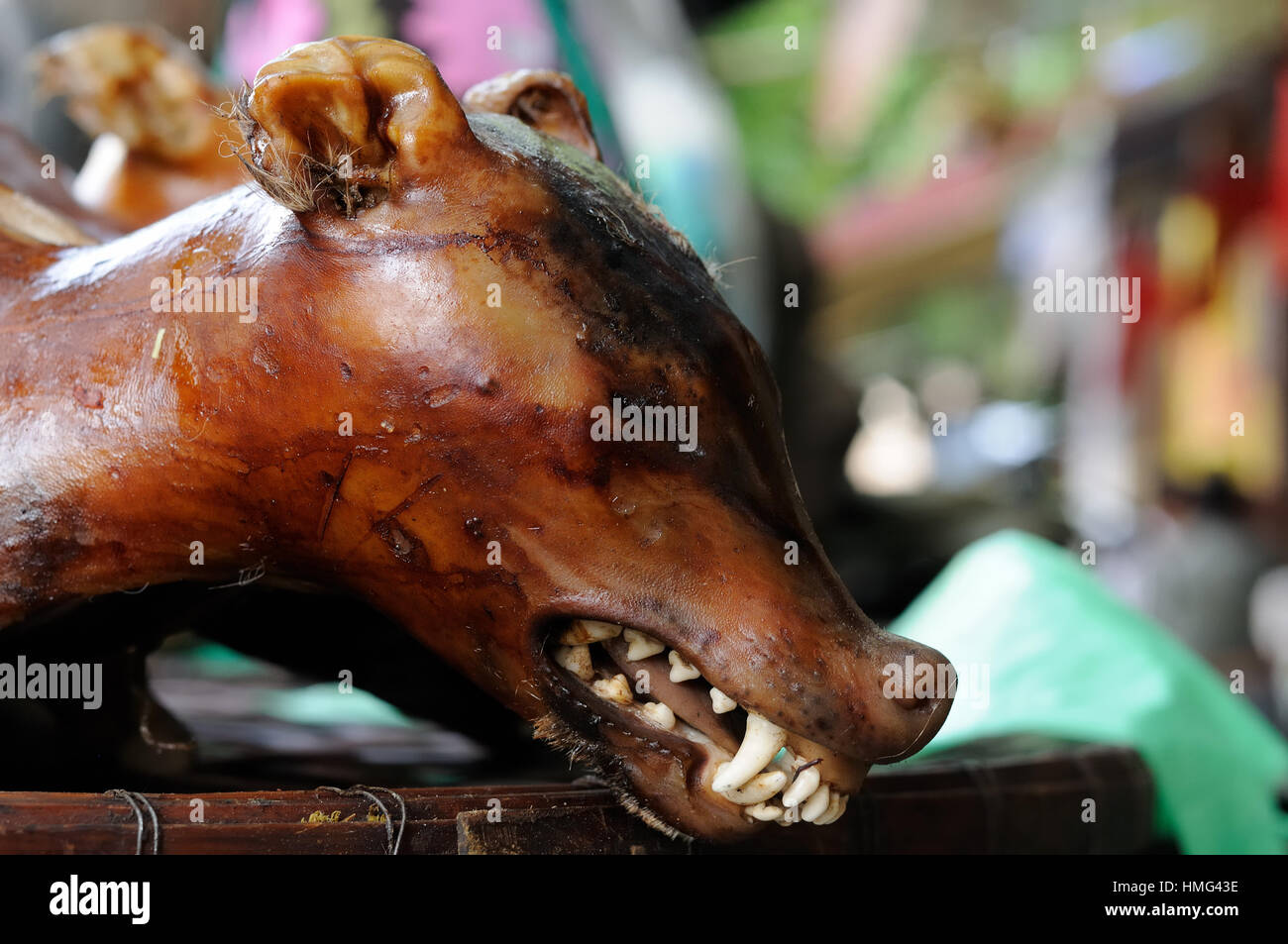 Cooked dog for buying on the stall in the capital city of Vietnam Stock Photo