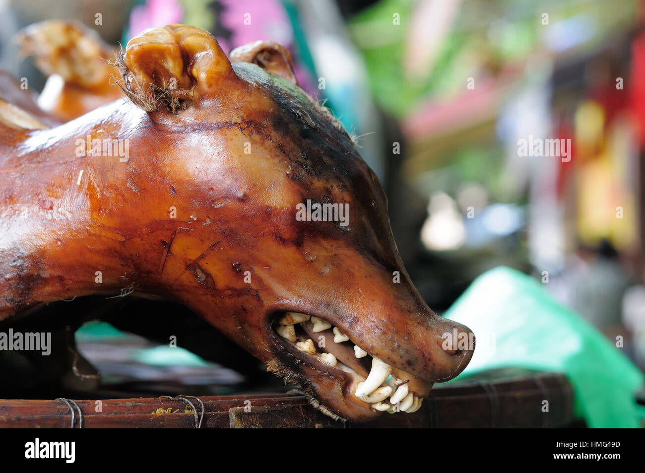 Cooked dog for buying on the stall in the Hanoi - capital city of Vietnam Stock Photo
