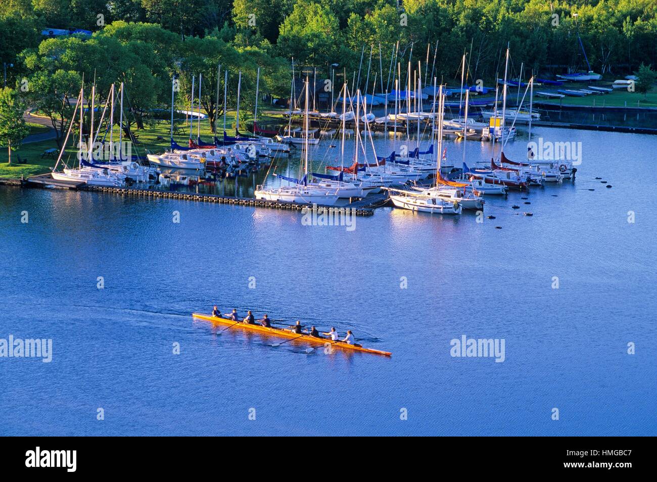 Team of rowers practising sculling near yacht club in Ramsay lake, Greater Sudbury, Ontario, Canada. Stock Photo