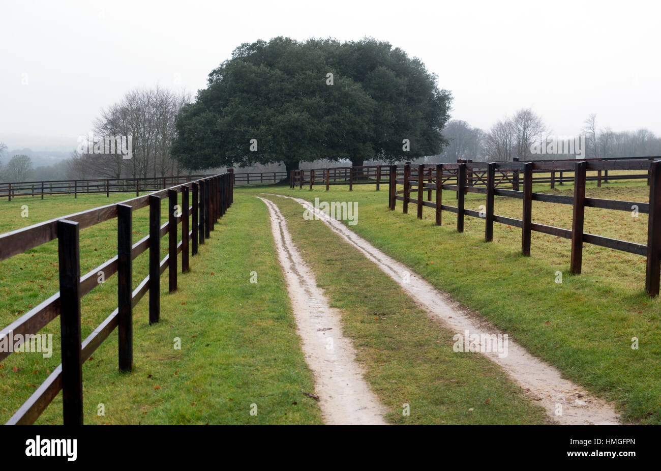 Bridleway on the Daylesford Estate, Daylesford, Gloucestershire