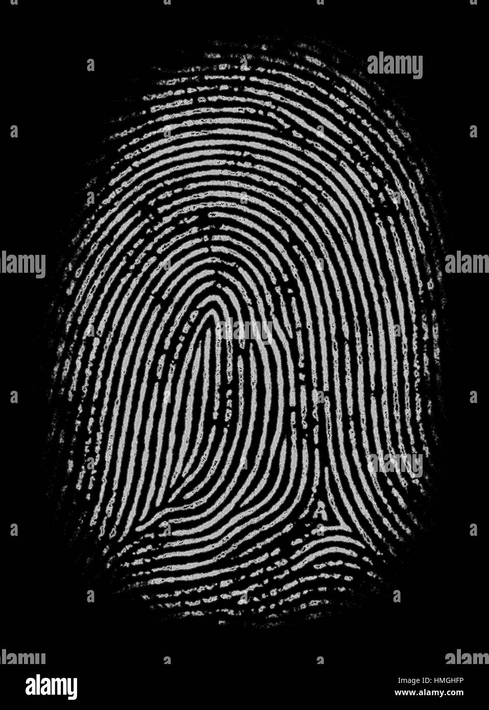 Black and white fingerprint in high definition and detailing. Good as mask or alpha channel. Stock Photo