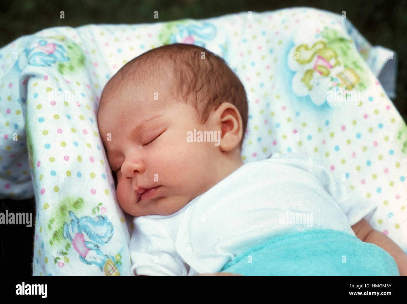 Newborn infant sleeping in his carrier. USA Stock Photo