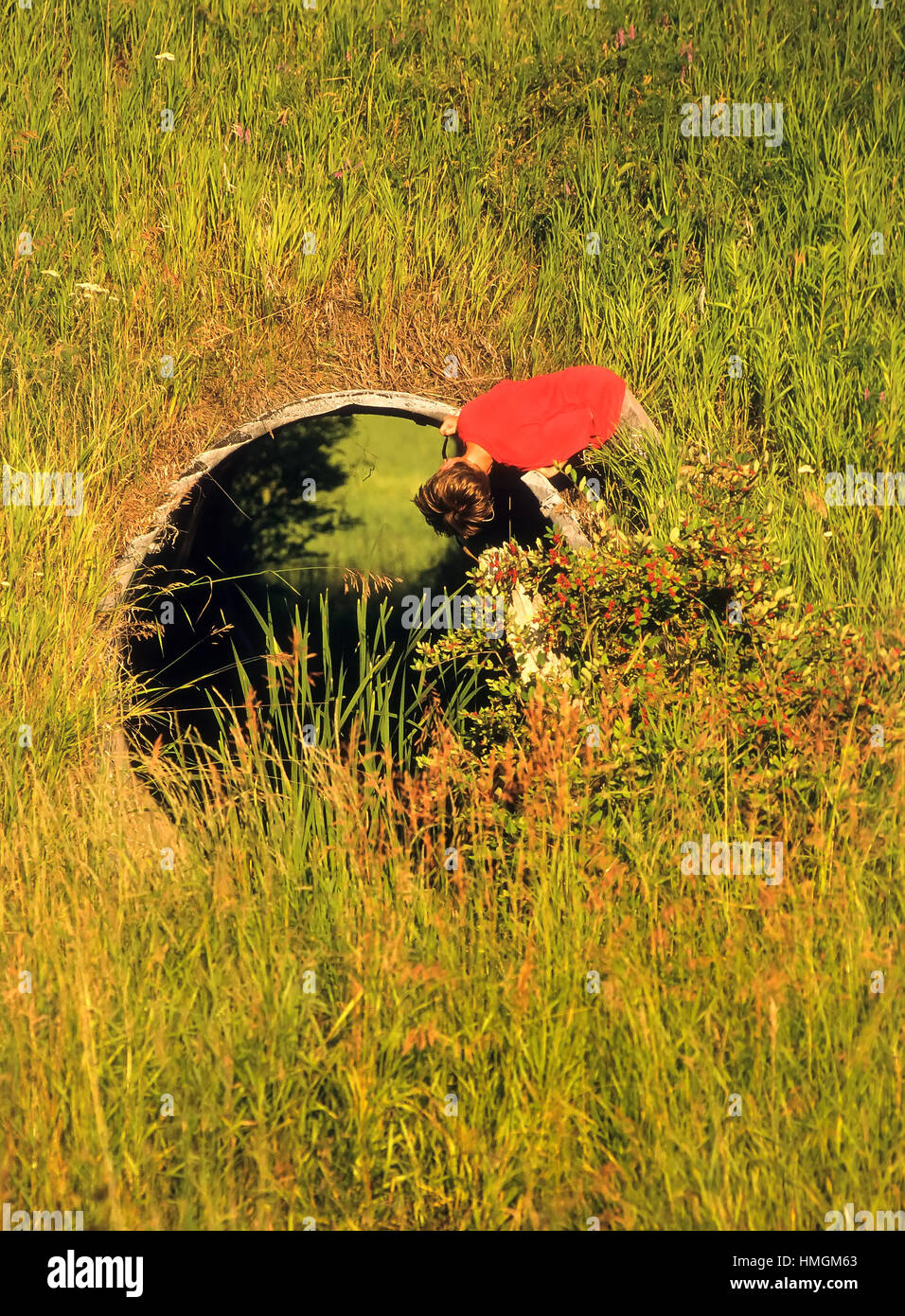 Young boy exploring a culvert in a grassy field. Digital scan from slide. Stock Photo