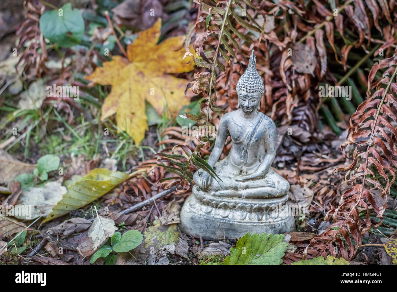 A statue of Buddha sits in a garden in autumn, surrounded by fallen leaves and dried fern fronds. Stock Photo