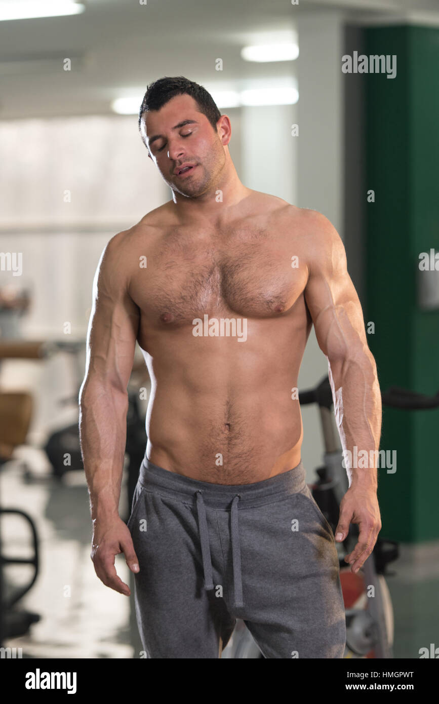 hairy chests and muscles Bruno naked men