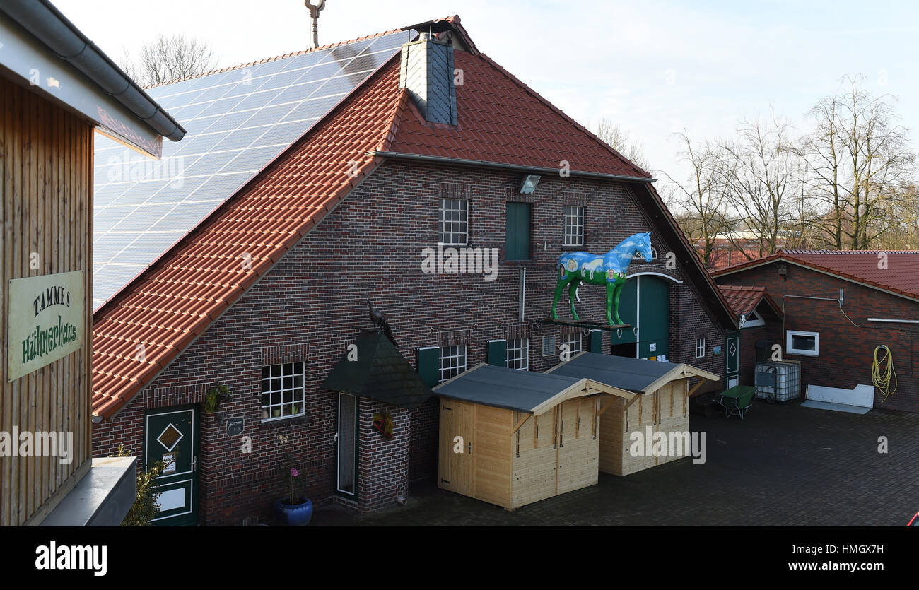 Tamme Hanken High Resolution Stock Photography And Images Alamy