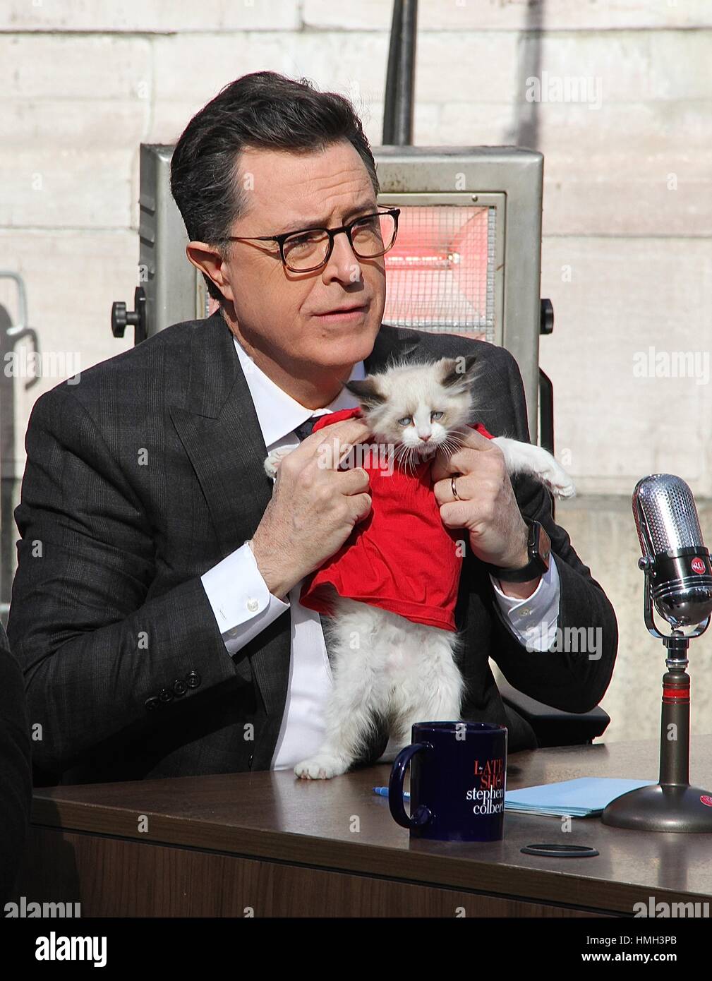 Donald Trump Cat High Resolution Stock Photography and Images Alamy