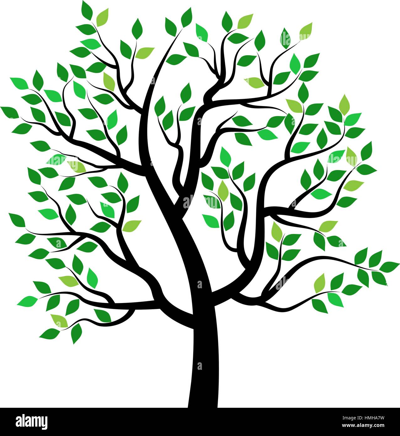 spring tree with leaf Stock Vector Image & Art - Alamy