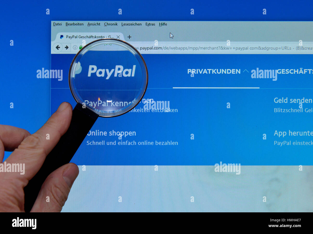 Paypal, website, screen, magnifying glass, hand, Internet, Website, Bildschirm, Lupe, Hand Stock Photo