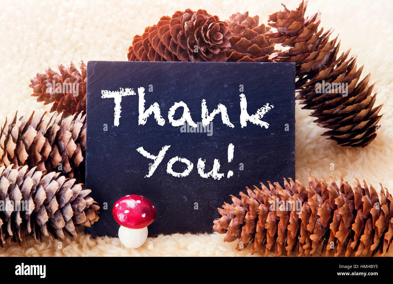 pinecones and black chalkboard with the words Thank You Stock Photo - Alamy