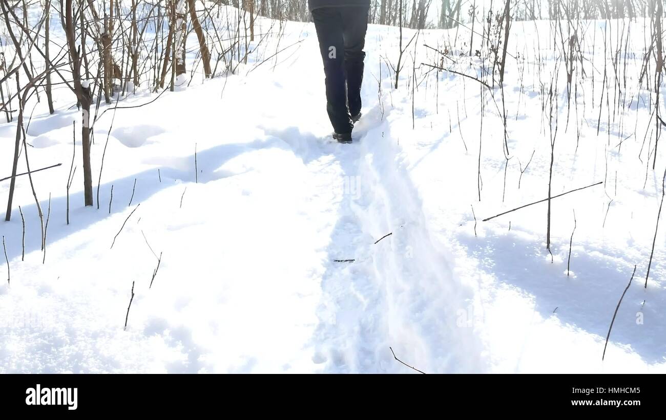 man walking in the snow in the winter forest landscape nature travel ...