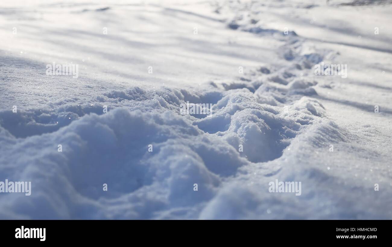 human nature footprints in the snow winter landscape path a lot of snow ...