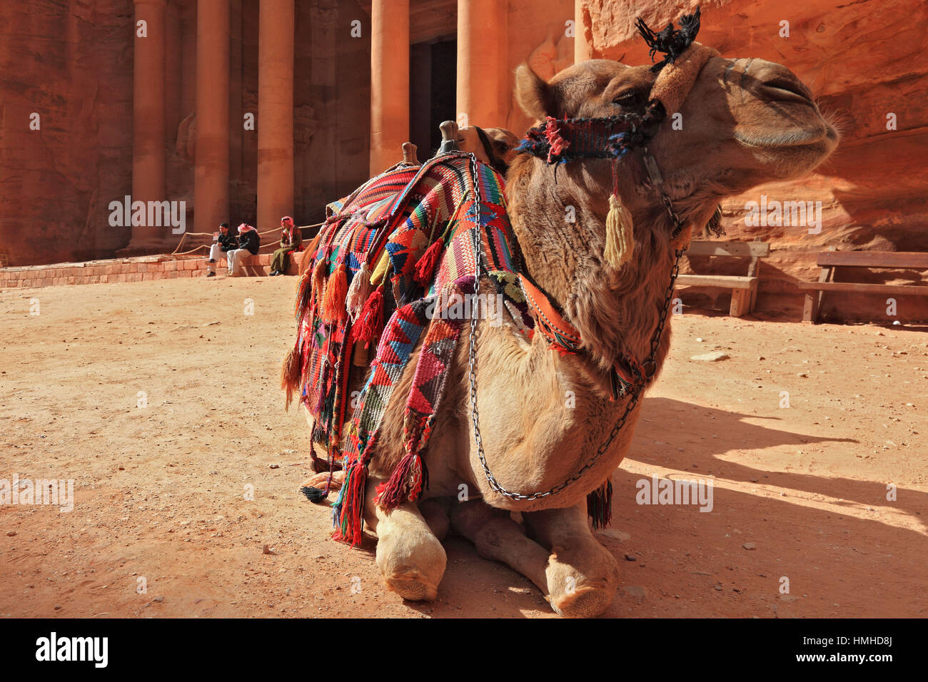Camel infront of The Khazne al-Firaun, Chaznat al-Firaun, Al-Khazneh, treasure house of the Pharaoh, a mausoleum struck from the rock, abandoned rock  Stock Photo