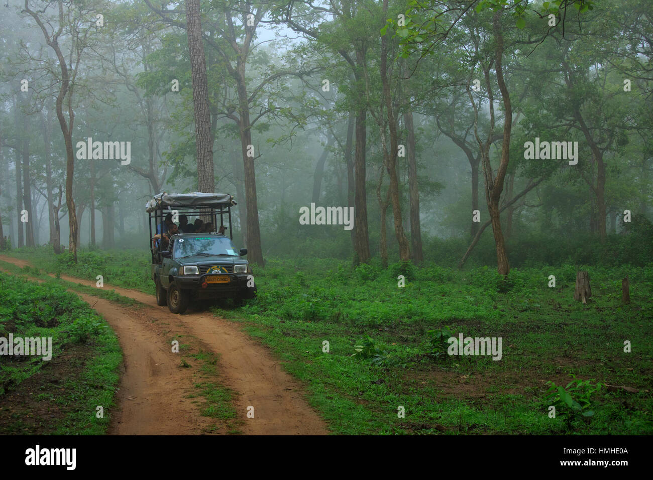 Kabini Jungle Safari Stock Photo