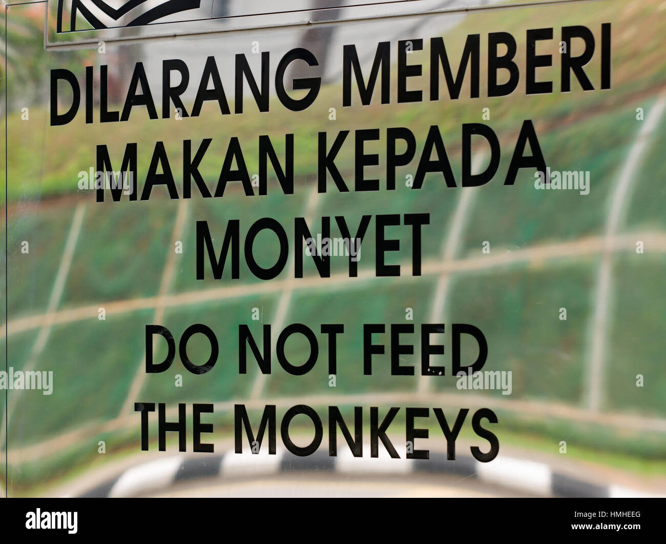 Feed in malay