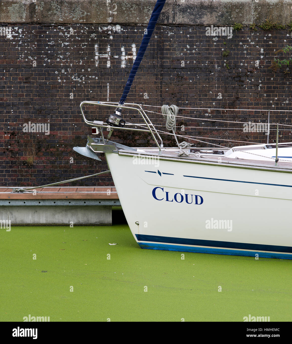 Boat on river with green algae, Limehouse, London, UK Stock Photo