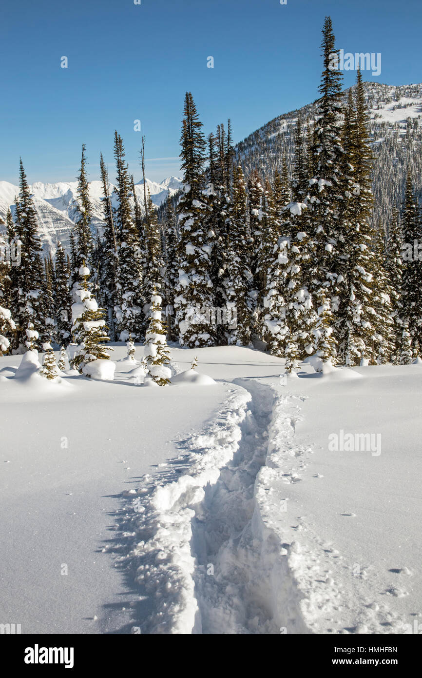 Backcountry skiers tracks; snowy winter landscape; Esplanade Range; Selkirk Range; British Columbia; Canada Stock Photo