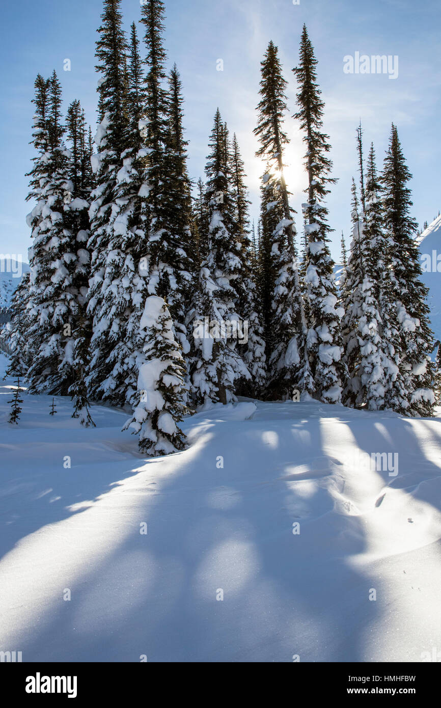 Snowy winter landscape; Esplanade Range; Selkirk Range; British Columbia; Canada Stock Photo