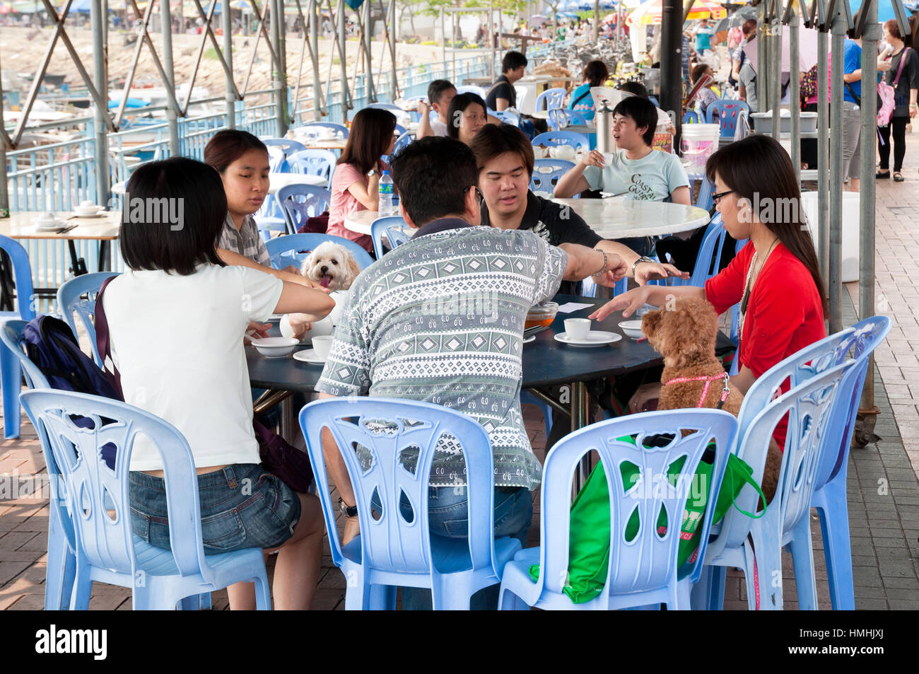 CHEUNG CHAU, HONG KONG - MAY 2012 - A group of friends and their dogs enjoy a meal at a seafood restaurant on the island of Cheung Chau, Hong Kong Stock Photo