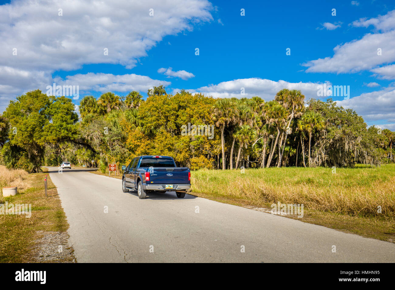 Park road in Myakka River State Park in Sarasota Florida Stock Photo