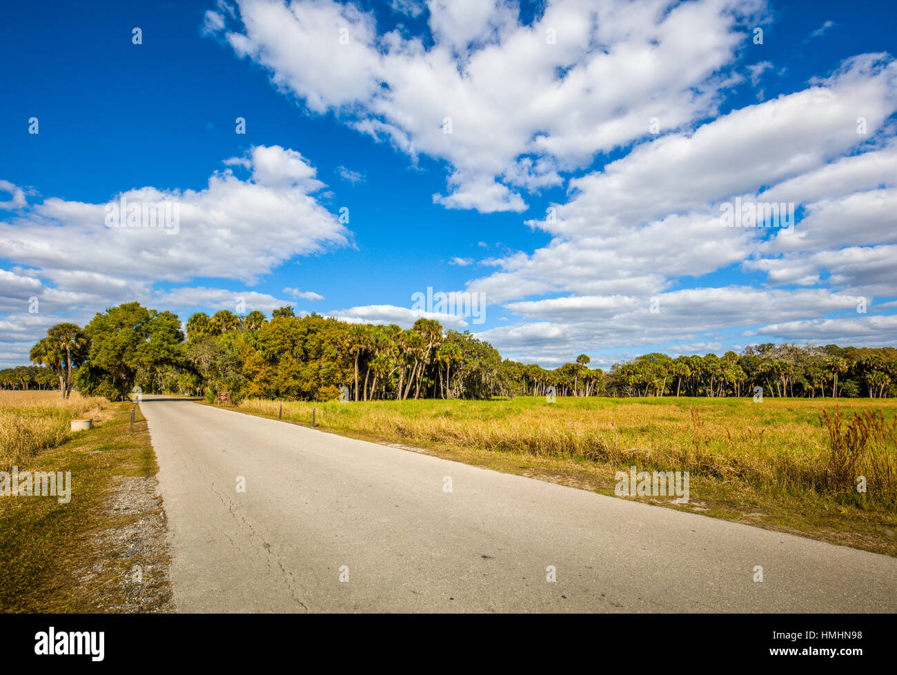 Park road in Myakka River State Park in Sarasota Florida Stock Photo