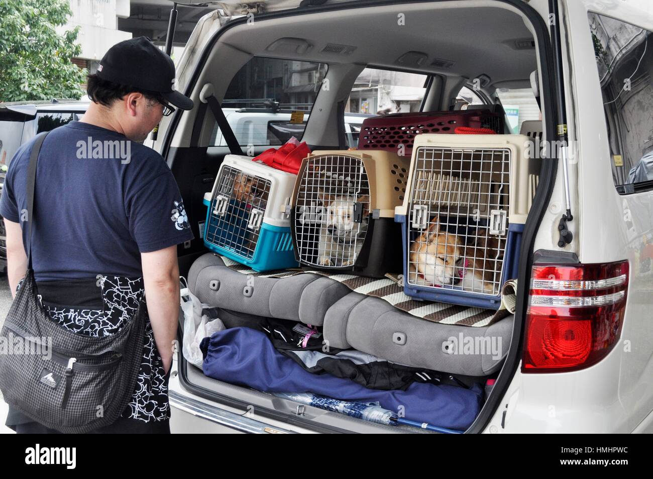 Naha, Okinawa, Japan stray dogs in cages during a pets adoptions event