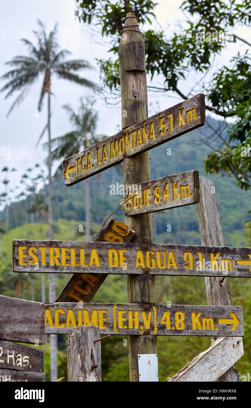 Walking routes, Valle del Cocora, Salento, Quindio, Colombia, South America Stock Photo