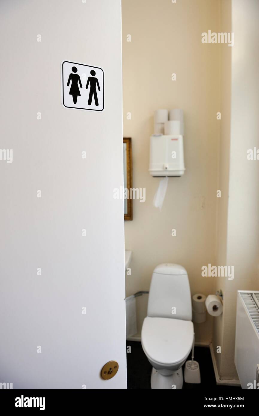 mixed toilet at Kvindemuseet, Women´s Museum housed in the former City  Hall, Aarhus, Jutland Peninsula, Denmark, Northern Europe Stock Photo -  Alamy