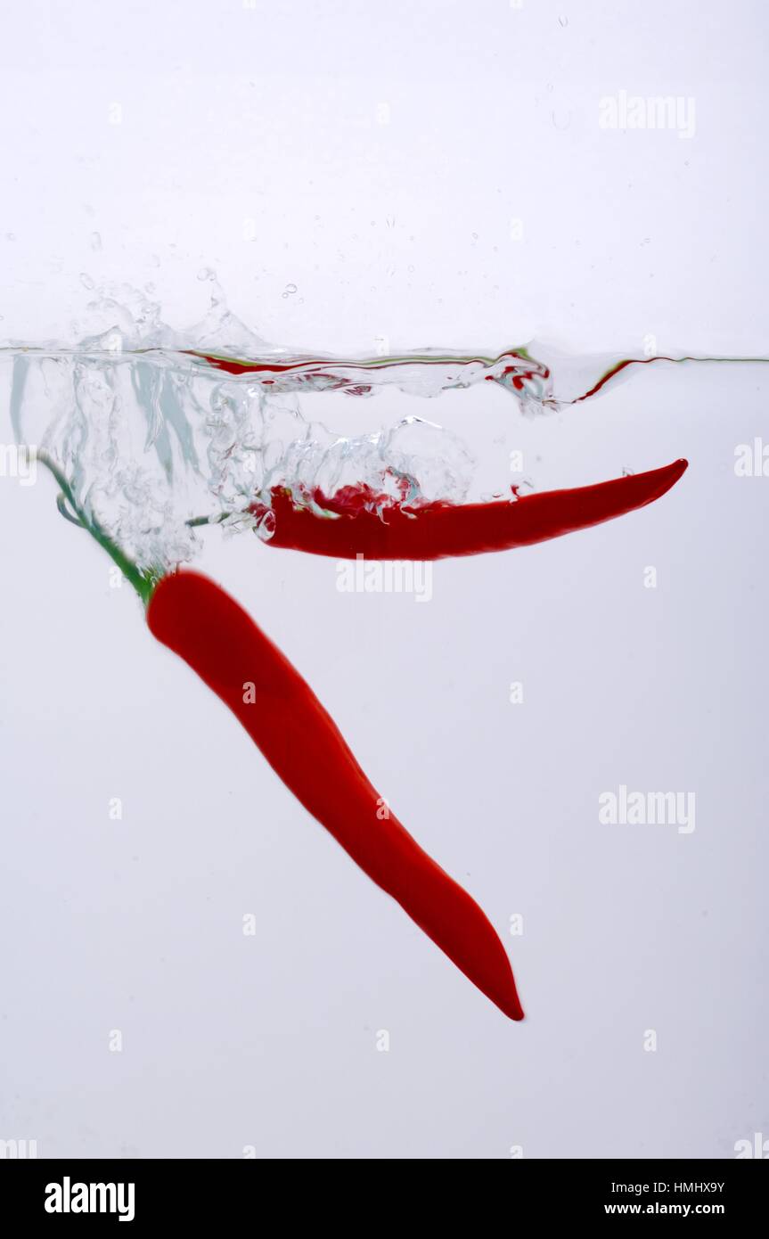 Chilli pepper in water Stock Photo Alamy