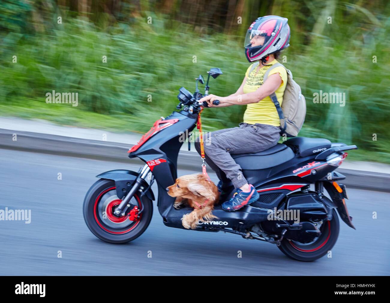 How Can I Ship My Dog From Colombia To Usa