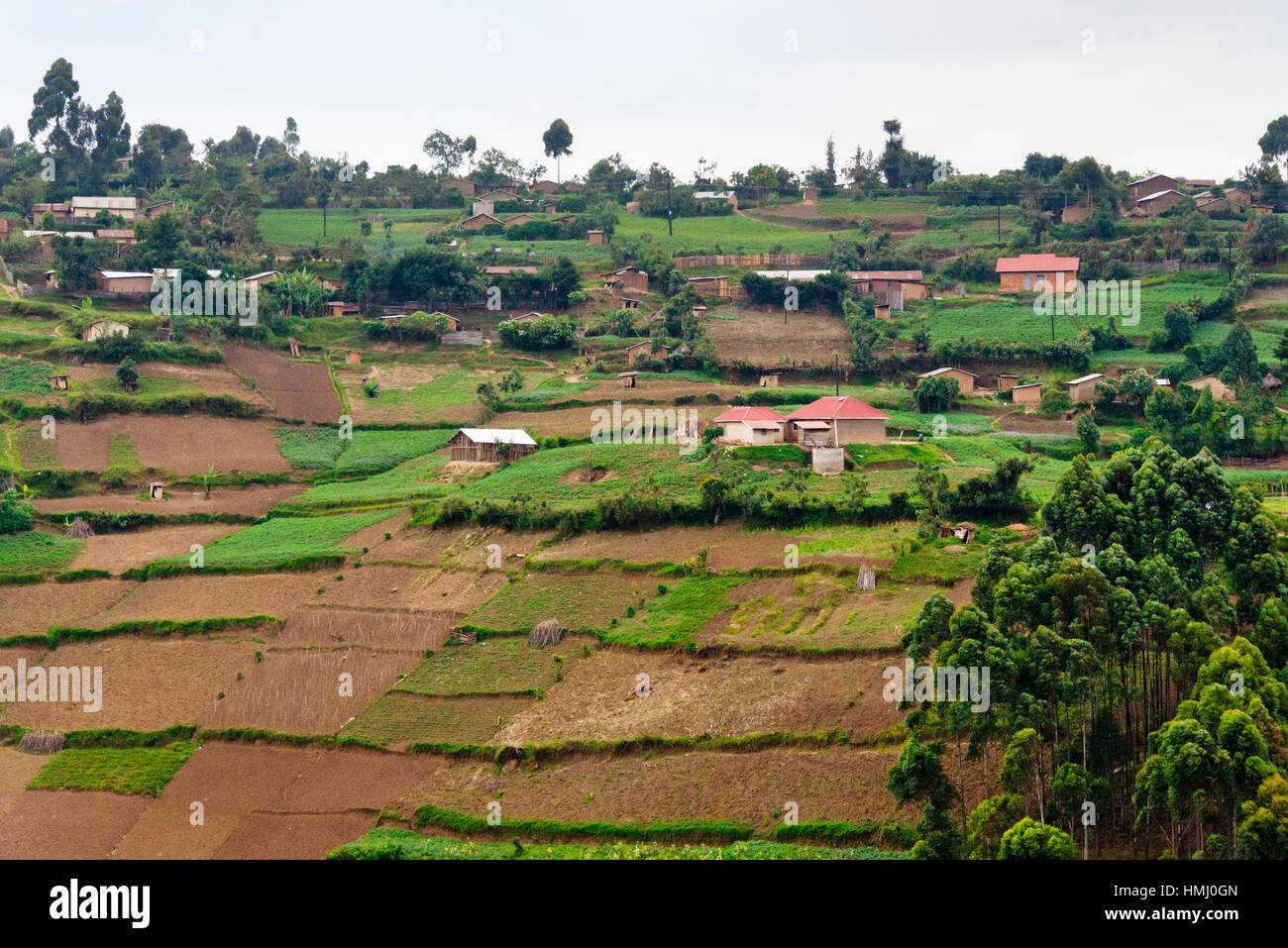 Farmland and village in the mountain, southwest Uganda Stock Photo Alamy