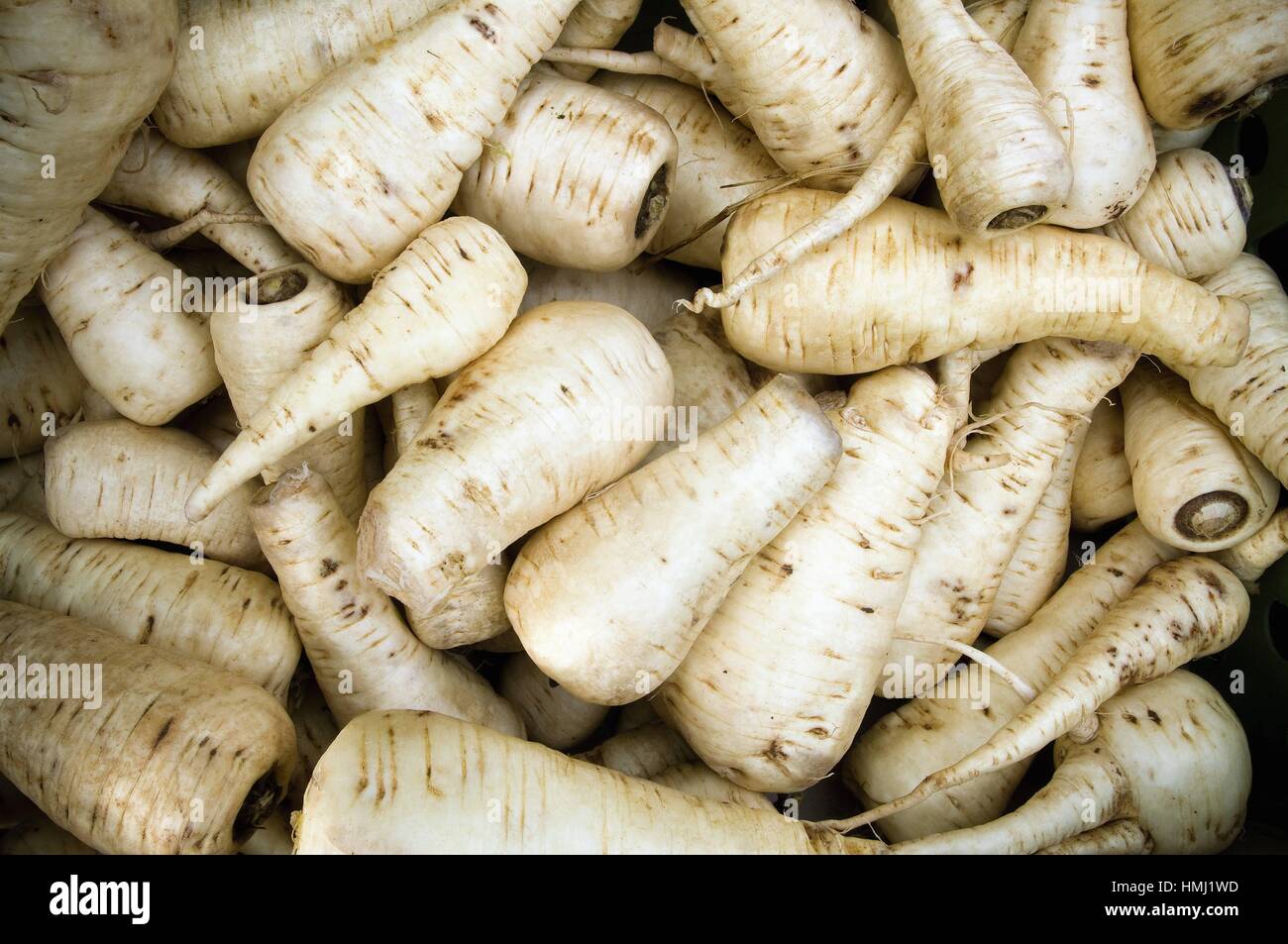 turnips in a market store in Borought Market, Southwark, London