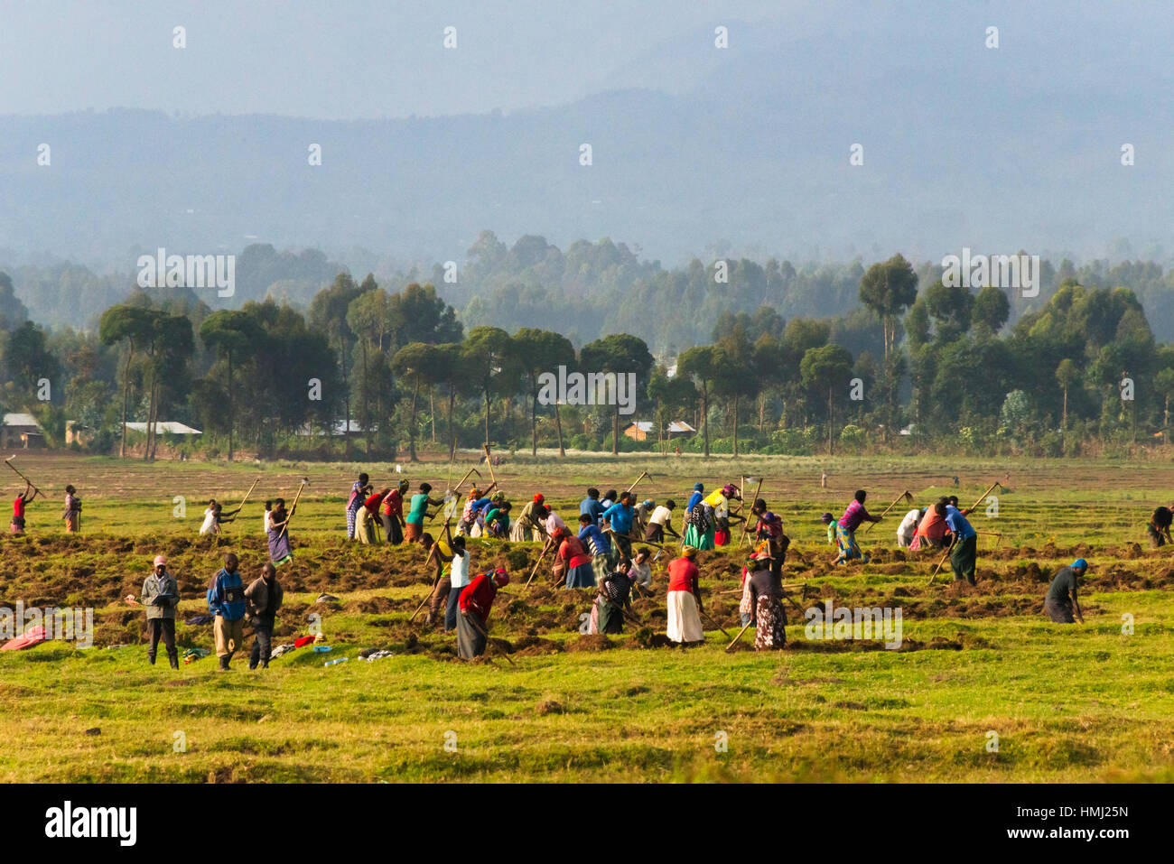 Rwanda farmers hires stock photography and images Alamy