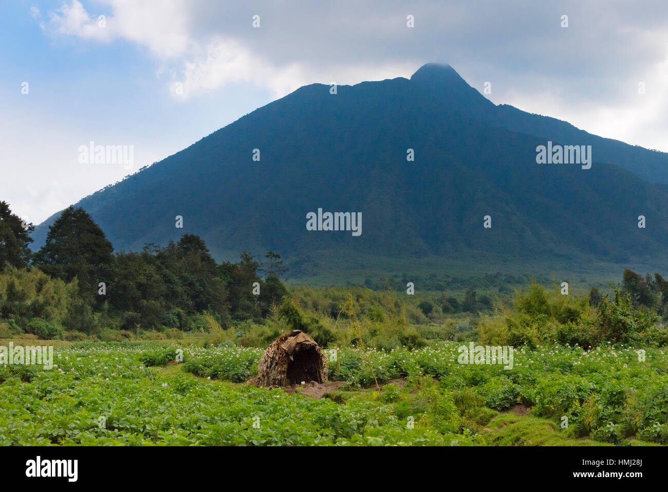 Farmland with mountain, Rwanda Stock Photo Alamy