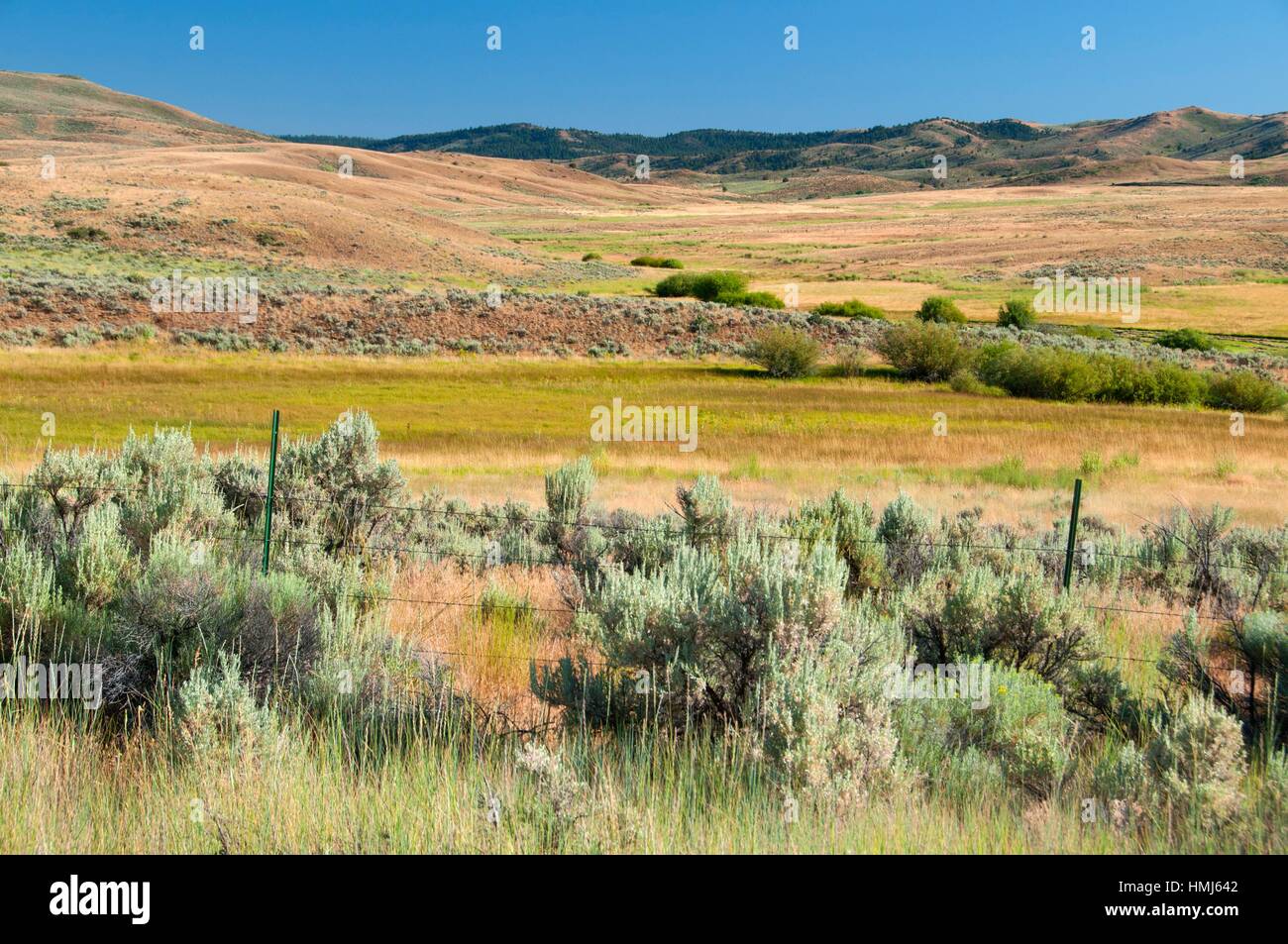 Paulina oregon hires stock photography and images Alamy