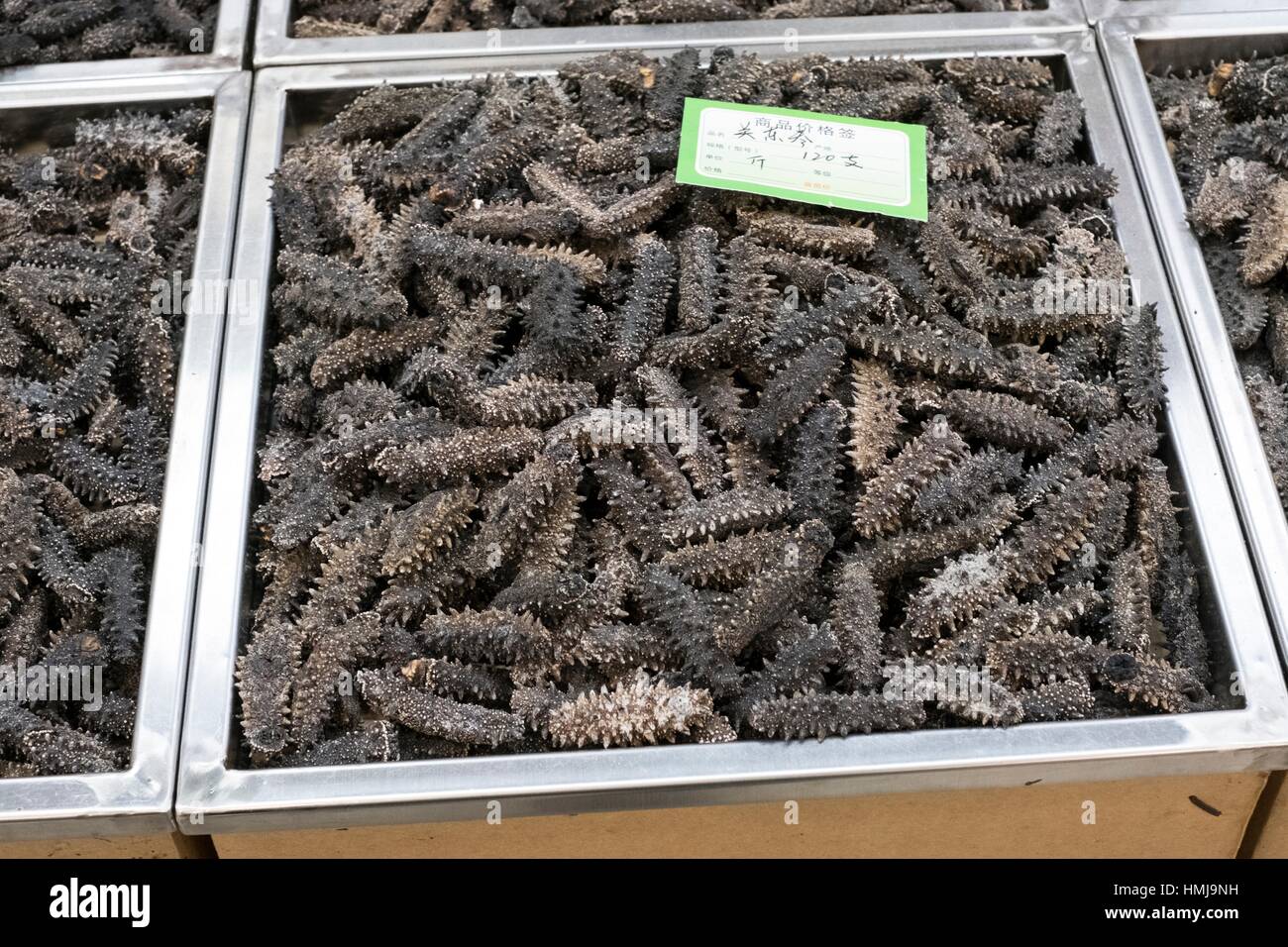 Sea Cucumber China Stock Photos & Sea Cucumber China Stock Images Alamy