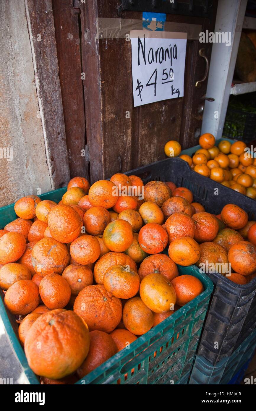 Oranges for sale at the entrance of a shop, San Miguel de Allende