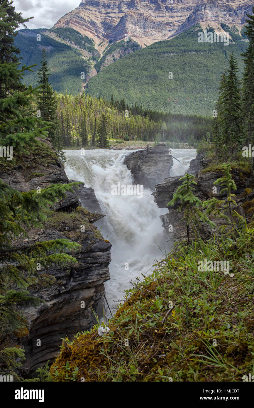 Water falling with power on the rocks of Maligne Canyon in Alberta, Canada Stock Photo
